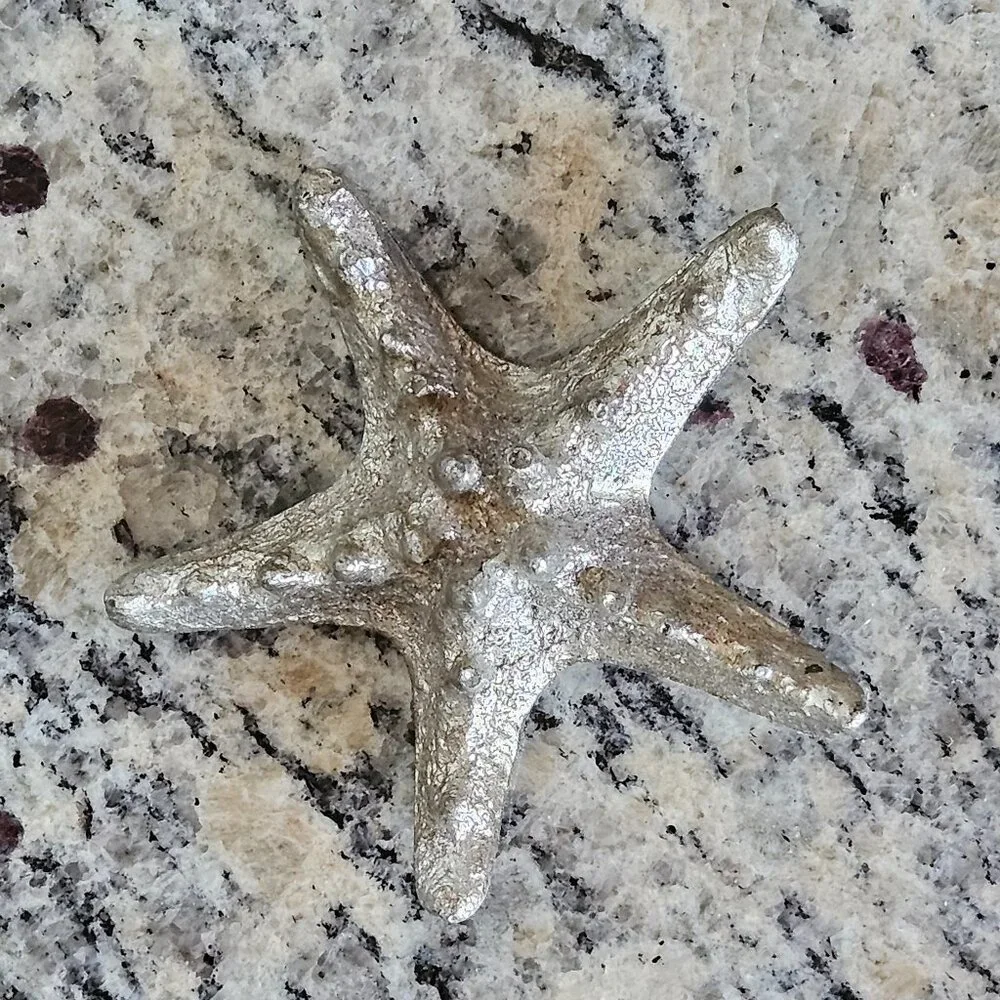 REGINA ANDREW MODERN SILVER STARFISH COASTAL BEACH VASE FILLER HOME TABLE DECOR